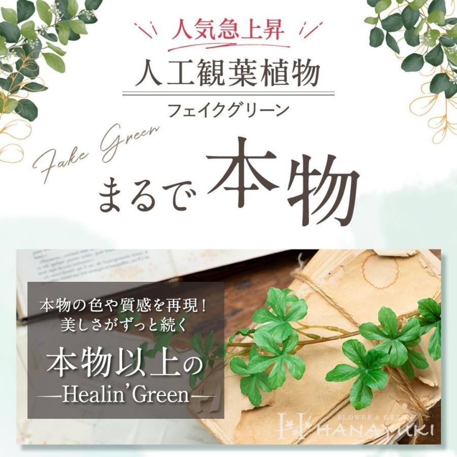 割引クーポン フェイクグリーン グリーンネックレス 吊り下げ 35cm ハンギング 光触媒加工 人工観葉植物 おしゃれ インテリア 店舗装飾 母の日 プレゼント HANAYUKI wantannas.go.id 割引クーポン フェイクグリーン グリーンネックレス 吊り下げ 35cm ハンギング 光触媒加工 人工観葉植物 おしゃれ インテリア 店舗装飾 母の日 プレゼント HANAYUKI wantannas.go.id