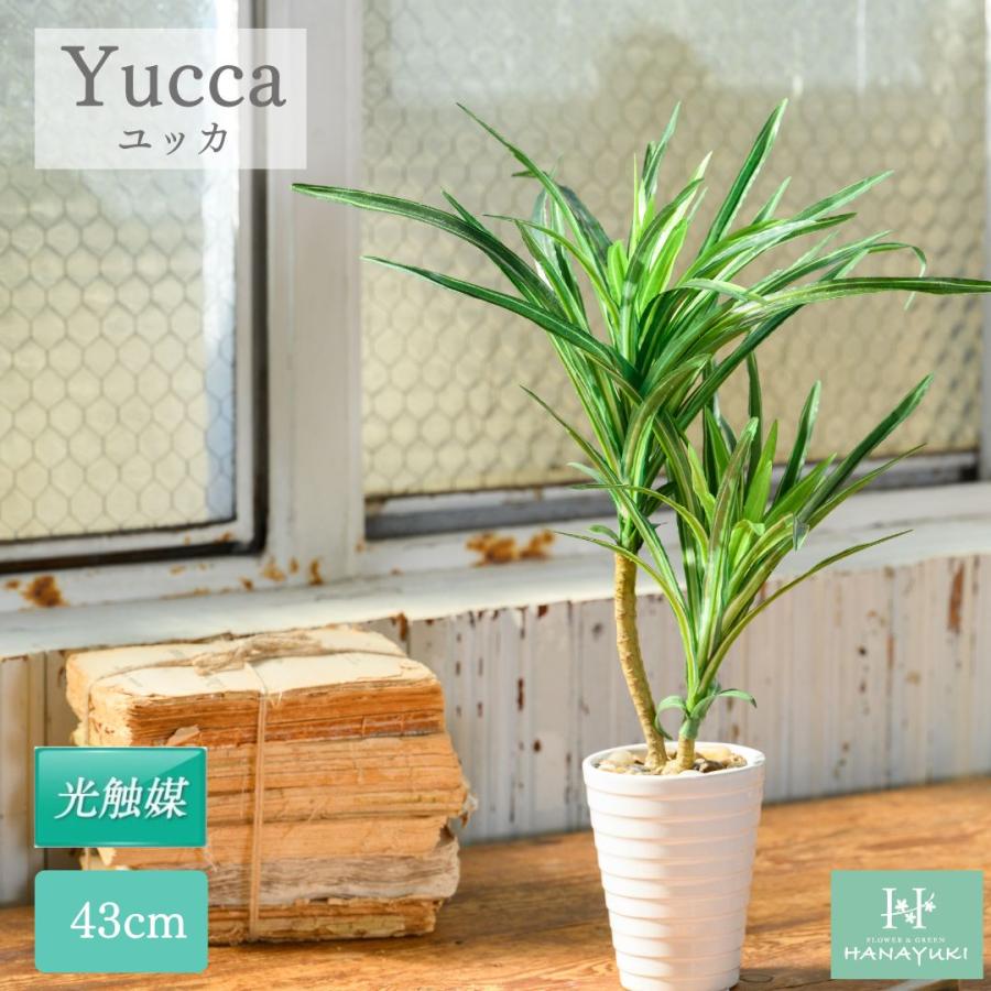 フェイクグリーン ユッカ 卓上サイズ 43cm 光触媒加工 人工観葉植物 室内用 おしゃれ インテリア 店舗 父の日 プレゼント 開店祝い 退院祝い Hanayuki 56 以上節約