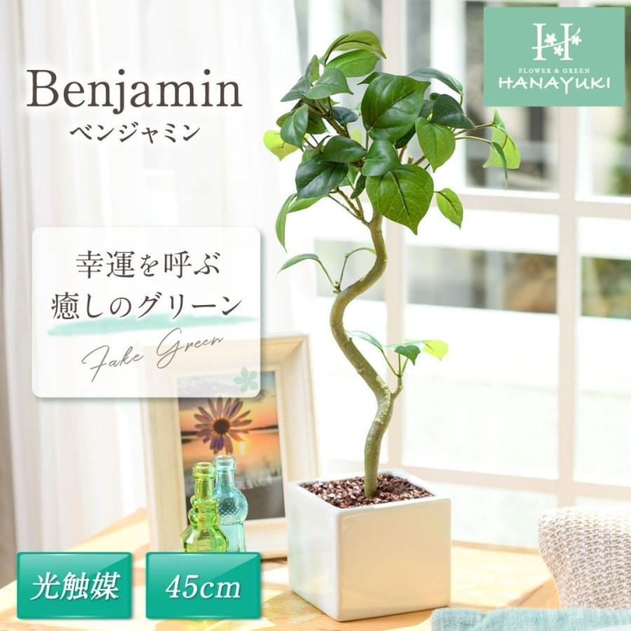 最高級のスーパー フェイクグリーン ベンジャミン 45cm 光触媒加工 卓上サイズ 人工観葉植物 室内用 おしゃれ 誕生日プレゼント 開店祝い 母の日 プレゼント Hanayuki Wantannas Go Id