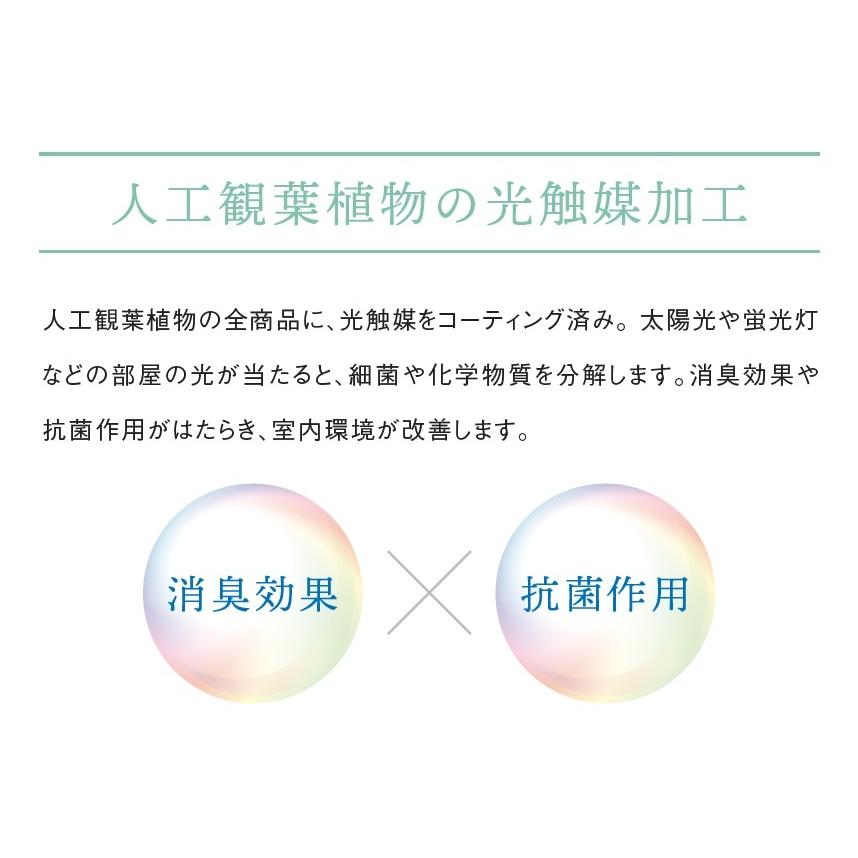 人工観葉植物 壁掛け ルーカスミックス 光触媒 フェイクグリーン 壁掛け ウォールグリーン 観葉植物 壁掛け 壁面 壁掛け観葉植物 ガーデン 人工芝 HANAYUKI :hanayuki-wallmat35-lucas:Mono Natural - 通販 - Yahoo!ショッピング 人工観葉植物 壁掛け ルーカスミックス 光触媒 フェイクグリーン 壁掛け ウォールグリーン 観葉植物 壁掛け 壁面 壁掛け観葉植物 ガーデン 人工芝 HANAYUKI :hanayuki-wallmat35-lucas:Mono Natural - 通販 - Yahoo!ショッピング