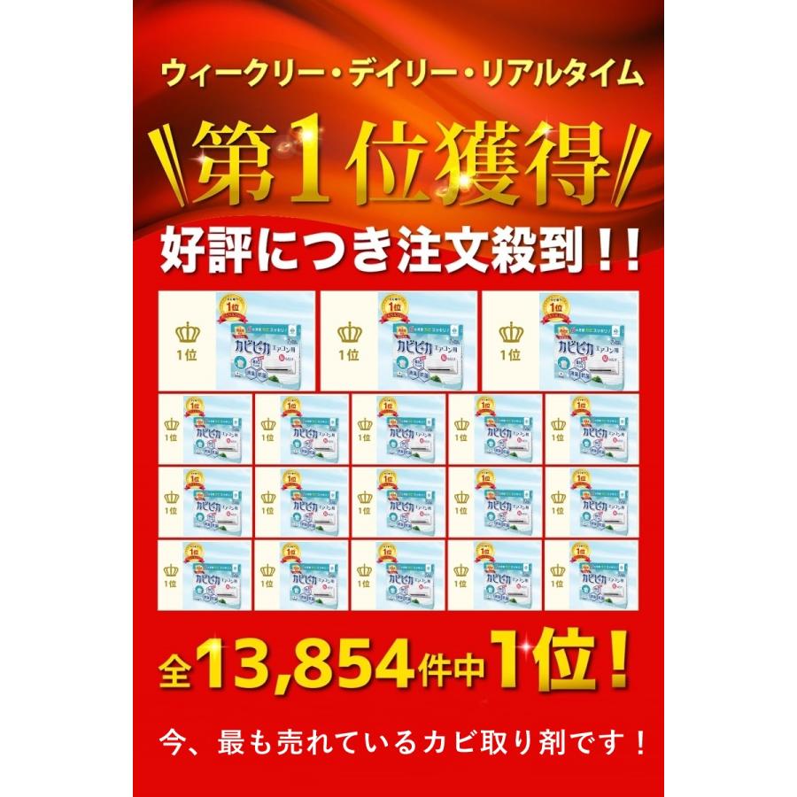 ＼ヤフー1位／＼長崎国際大学と共同研究／＼1箱1年分／ カビピカ エアコン カビ防止 カビ 予防 カビ取り バイオ 消臭 抗菌 掃除 エアコン用｜supplement-life｜03