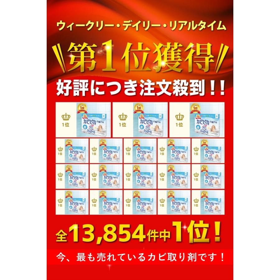 ＼ヤフー1位／＼長崎国際大学と共同研究／＼1箱1年分／ カビピカ お風呂 カビ防止 カビ 予防 カビ取り バイオ 消臭 抗菌 除菌 掃除 ホワイト 風呂用｜supplement-life｜03