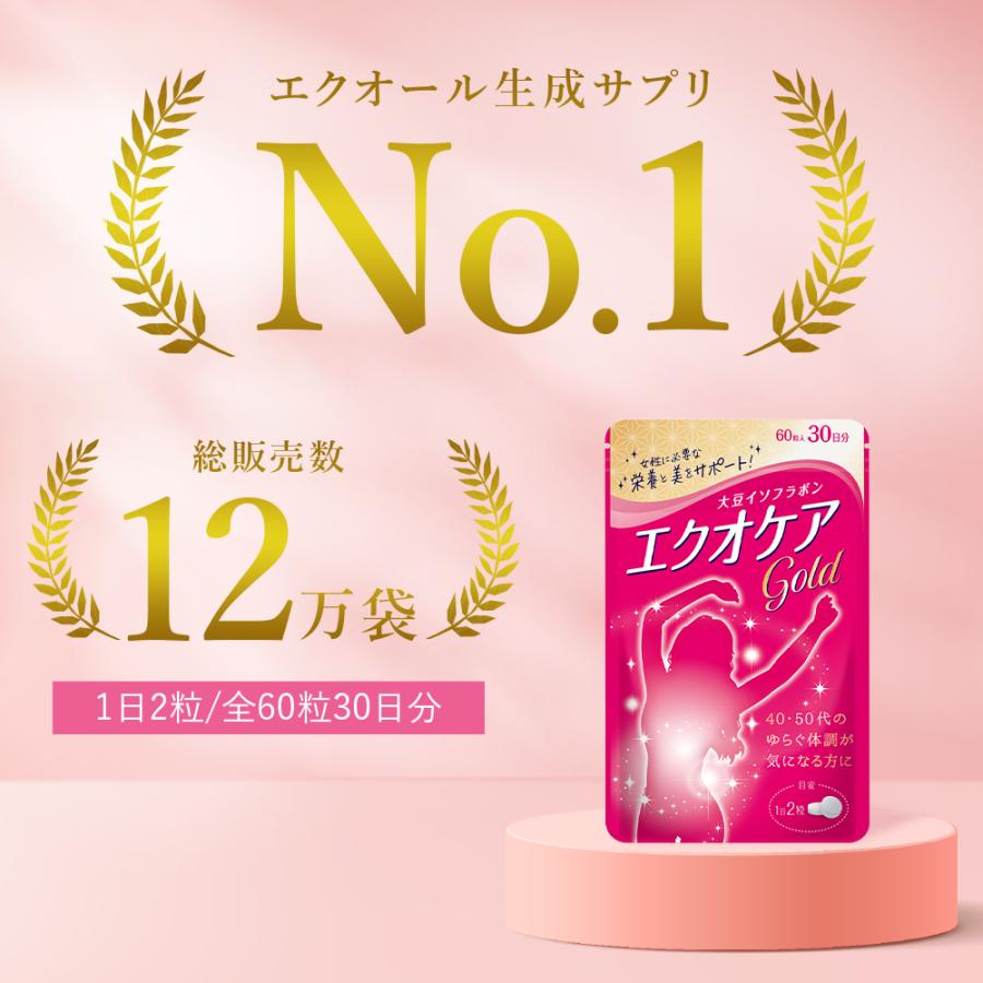 ヤフー1位／＼10袋入り／ エクオール 生成 アグリコン型 大豆