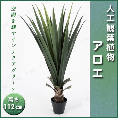 超目玉 取寄品 人工観葉植物 アロエ ポット付 112cm Pw s バラエティ雑貨サプライズワールド 通販 Yahoo ショッピング 全商品オープニング価格特別価格 Mobile Scotturb Com