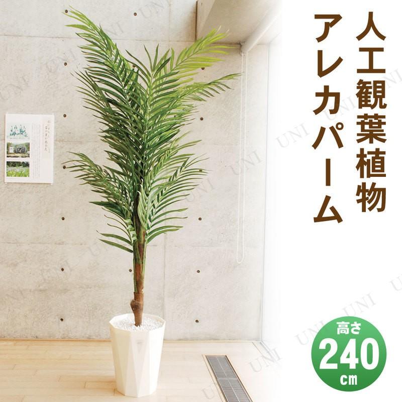 再値下げ 取寄品 フェイクグリーン 光触媒 アレカパーム 230cm 抗菌 大きい 人工観葉植物 ヤシの木 消臭 インテリアグリーン 椰子 日本製 Www Theohzoneinc Com