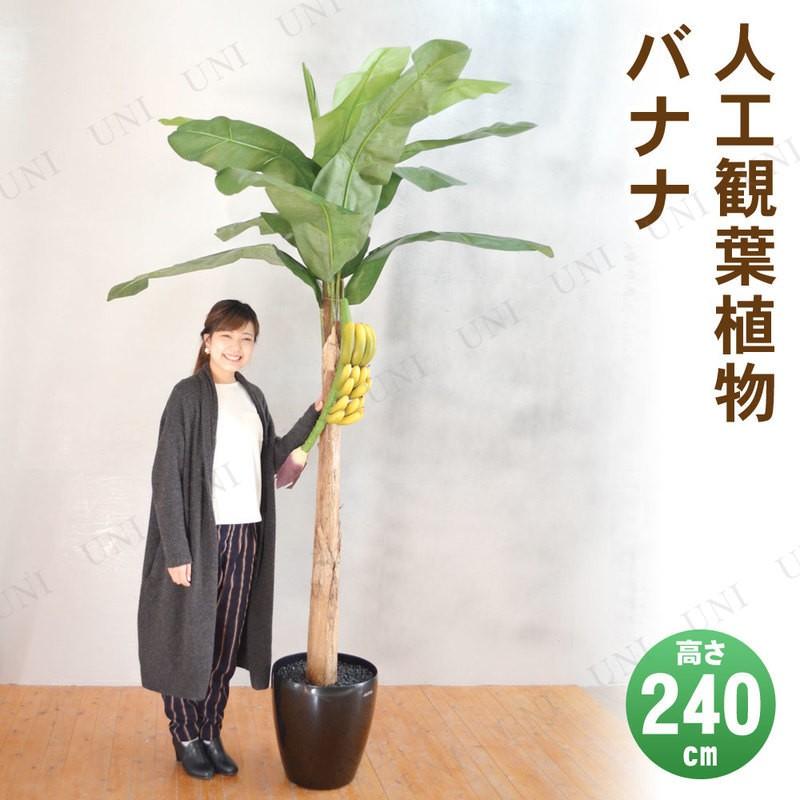 別注 取寄品 フェイクグリーン 光触媒 バナナ 240cm 消臭 果樹木 大きい 人工観葉植物 抗菌 インテリアグリーン 新品本物 Www Hbleisure Com