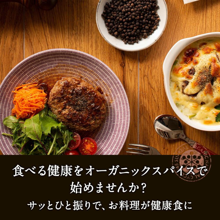 ブラックペッパー オーガニック 有機 Jas 最高級 スパイス 香辛料 黒胡椒 黒コショウ ブラックペッパーホール 100g スリランカ産 無農薬 化学肥料不使用 100 Blackpapper100g Kurashi Natural 通販 Yahoo ショッピング