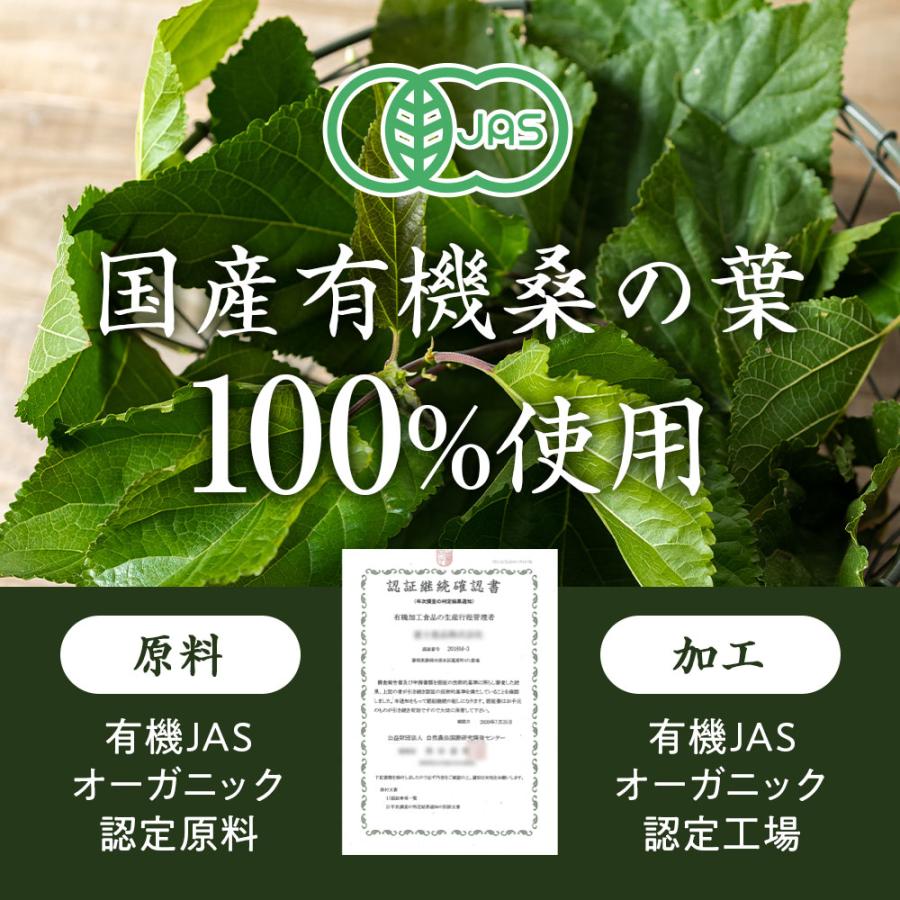 桑の葉茶 粉末 100g 桑の葉 パウダー 桑のは 国産 無農薬 青汁