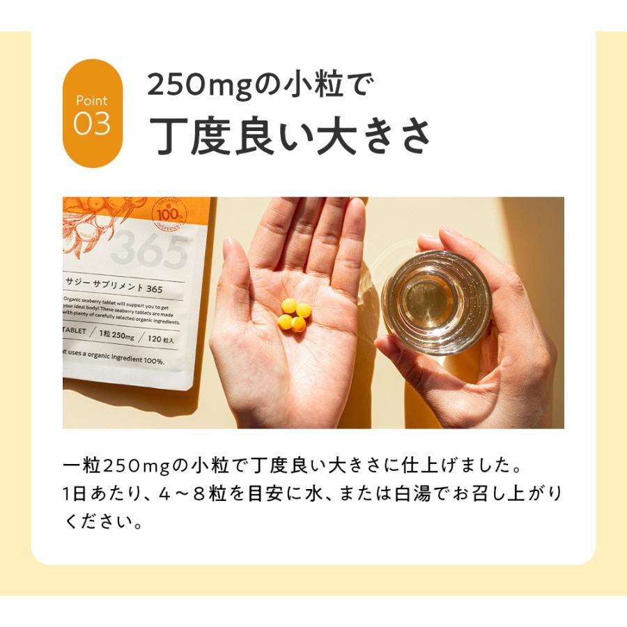 サジー サプリ リンゴ酸 鉄分 無添加 有機jas オーガニック