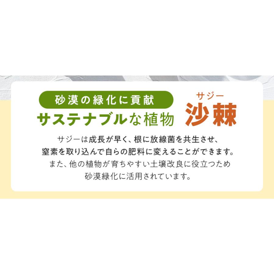 サジー サプリ リンゴ酸 鉄分 無添加 有機jas オーガニック ビタミン