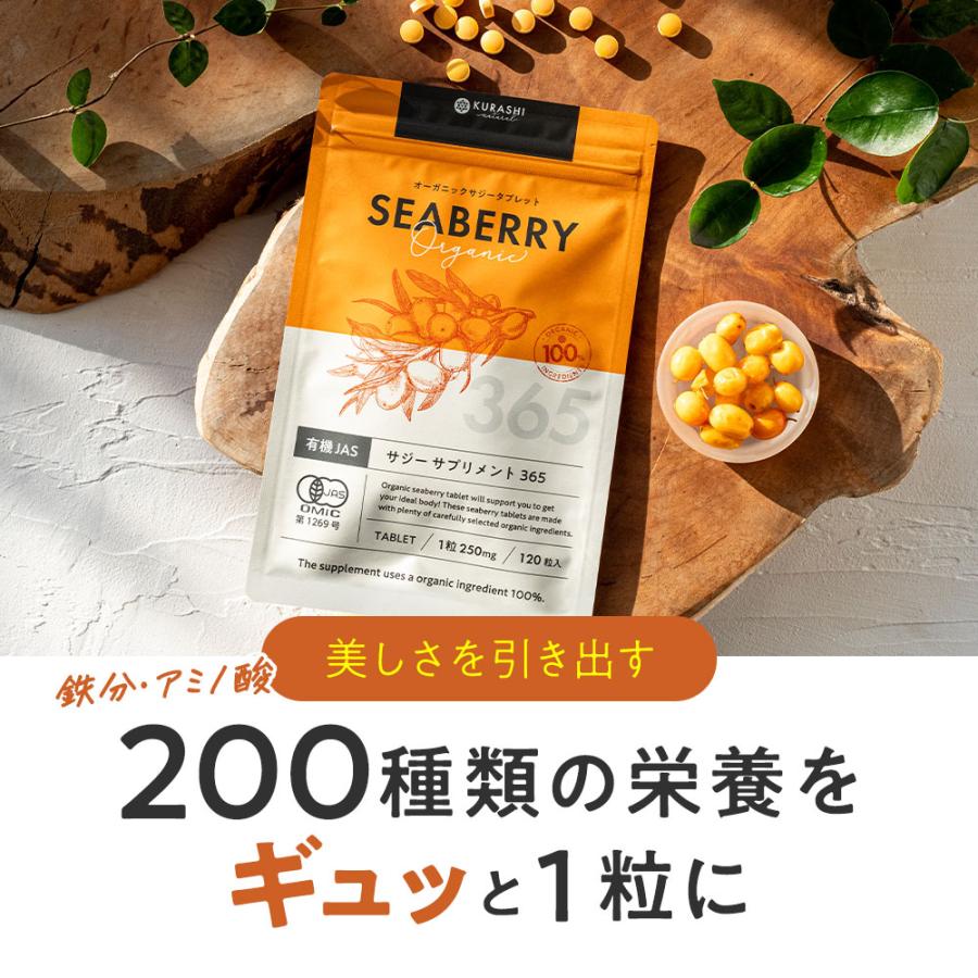 サジー サプリ リンゴ酸 鉄分 無添加 有機jas オーガニック サジー サプリ リンゴ酸 鉄分 無添加 有機jas オーガニック