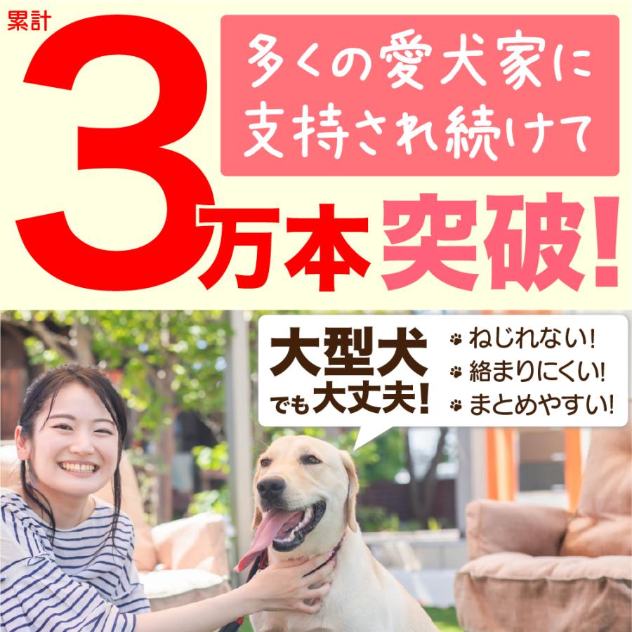 【大好評３万本突破】ロングリード 10m まとめやすい 丸ロープ カラフル 丈夫 外れにくい ナスカン 絡まない 大型犬 中型犬｜suraido｜02