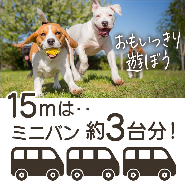 ☆ 絡みにくい 丈夫な ロングリード 安全性が高い しつけ m ブラック 419 Amazon | ＜動物病院の院長が監修＞ ロングリード 10m【 30日間交換