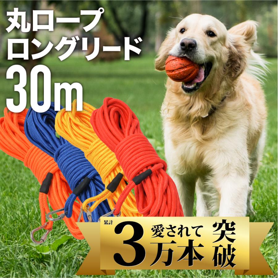 価格交渉OK送料無料 犬リード 長さ6m ロングリード 小型犬 中型犬 大型犬用 散歩 トレーニング 軽量