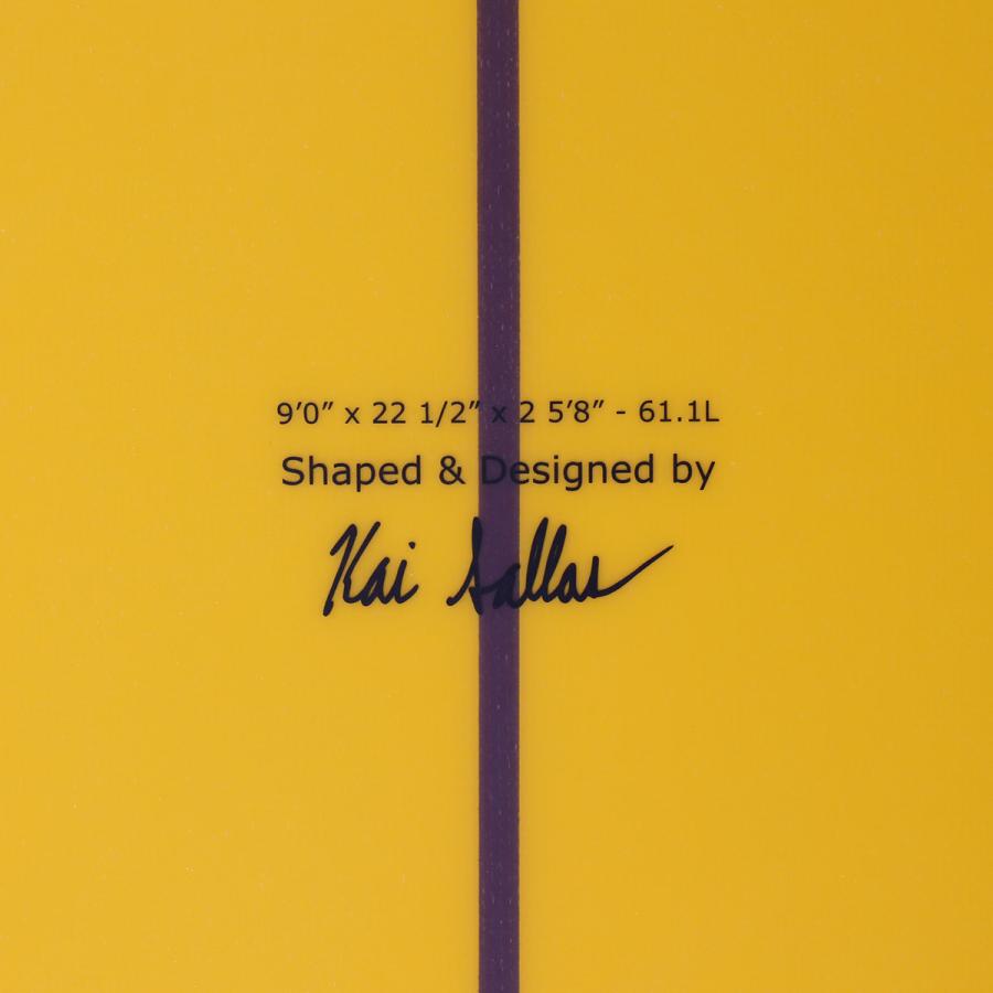 サンダーボルトテクノロジー サーフボード ロングボード