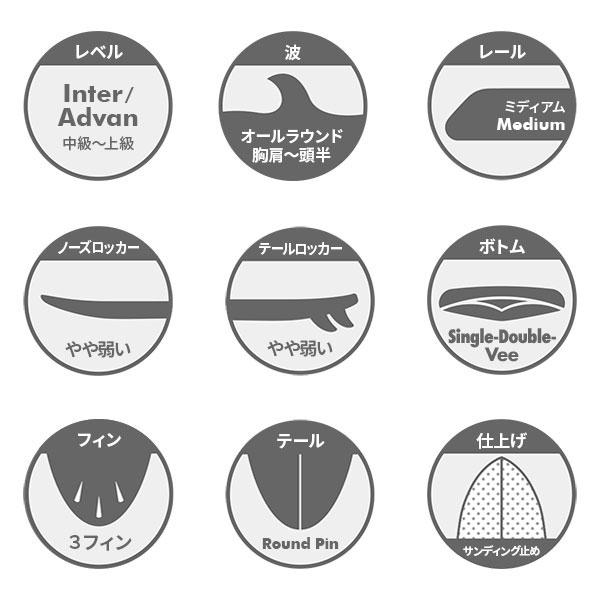 HaydenShapes（ヘイデンシェイプス） サーフボード ショートボード