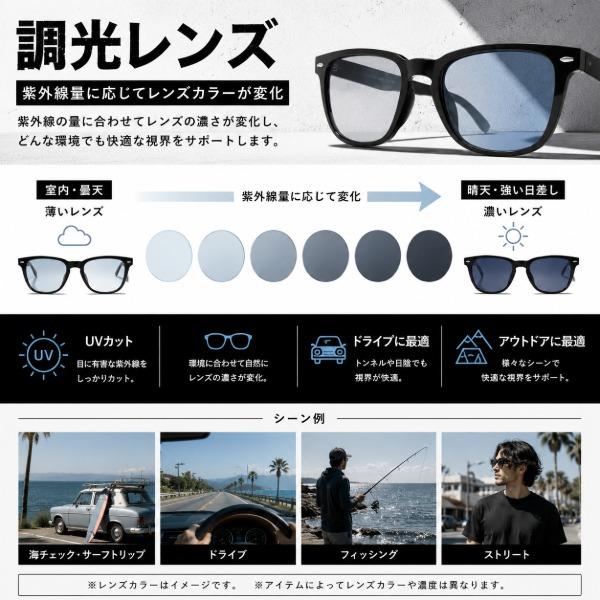 BLACK FLYS（ブラックフライ） 調光レンズサングラス BLACK FLYS FLY