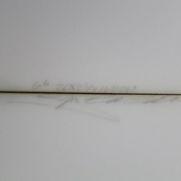 【公式】 chris christenson クリス クリスティンソン サーフボード V01/DAUNTLESS 【TMF3017388993】(109402円)