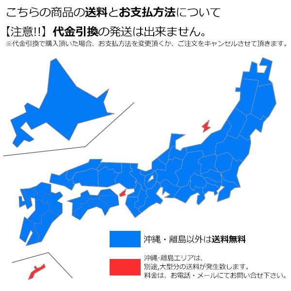 送料無料 CATCHSURF キャッチサーフ ODYSEA ファン ソフトボード