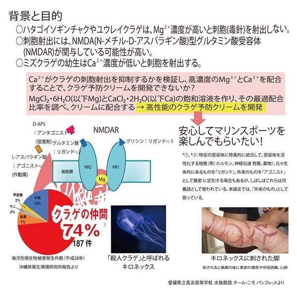 専用画面　Jelly Calamine & SUN SCREEN セット販売 cjfj177423-06.jpg