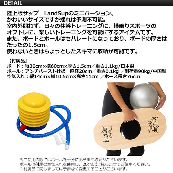 サーフィン 体幹 トレーニング 陸トレ バランスボード/LandSup サーフィン 体幹 トレーニング 陸トレ バランスボード/LandSup