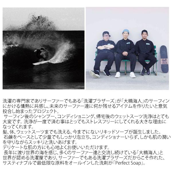 LordishBehavior ローディッシュビヘイビア ウェットシャンプー 洗濯
