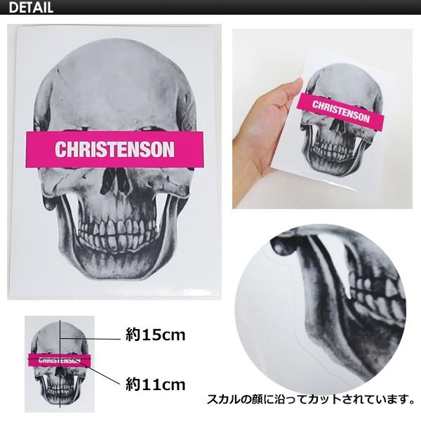 FCS Christenson サーフボードフィン スカルデザイン ケース付き クリステンソン サーフボード 日本公式サイト