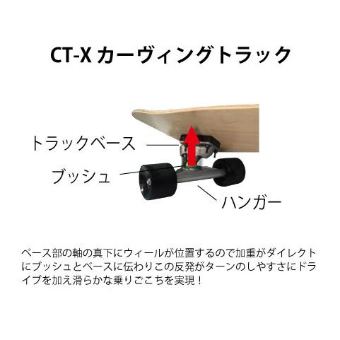 INTRO イントロ スケートボード サーフスケート スケボー コンプリート