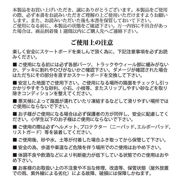 INTRO イントロ スケートボード サーフスケート スケボー コンプリート