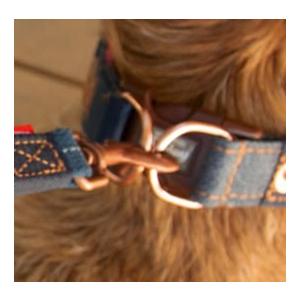 EZYDOG/イージードッグ デニムコレクション ダブルロックカラー/DENIM