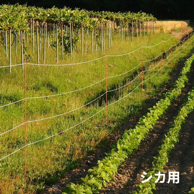 電気柵 ホワイトワイヤー400m×2 surge-m_6329