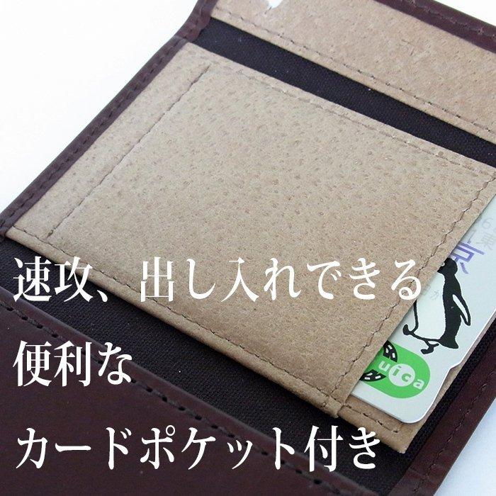 m+（エムピウ） コンパクトな財布 MILLEFOGLIE2 Pig25 グリーンxチョコ