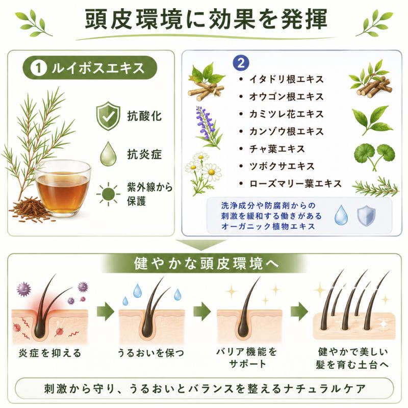 キュベシノブシャンプー PURE（ピュール）280ml : Surpriヤフー店