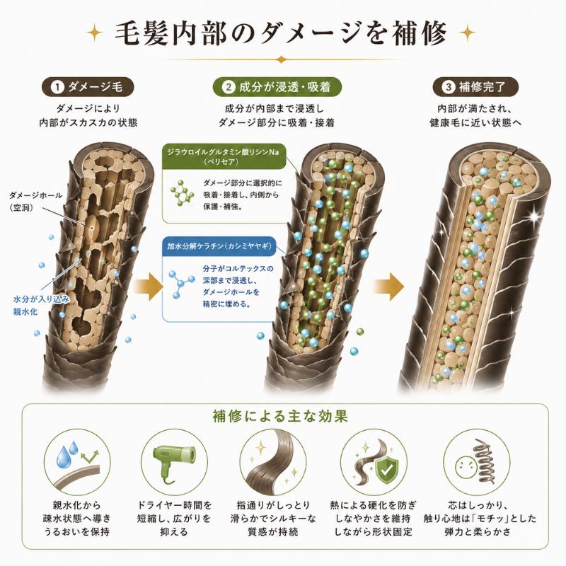 キュベシノブシャンプー PURE（ピュール）280ml : Surpriヤフー店
