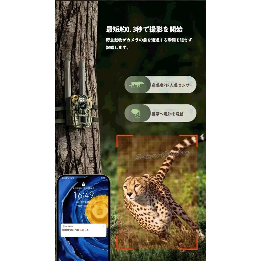 未使用◆トレイルカメラ　野生動物監視カメラ　防犯カメラ/犬・猫見守りカメラ 4G トレイルカメラ 2K高画質 野生動物観察カメラ 遠隔監視 8000mAh大