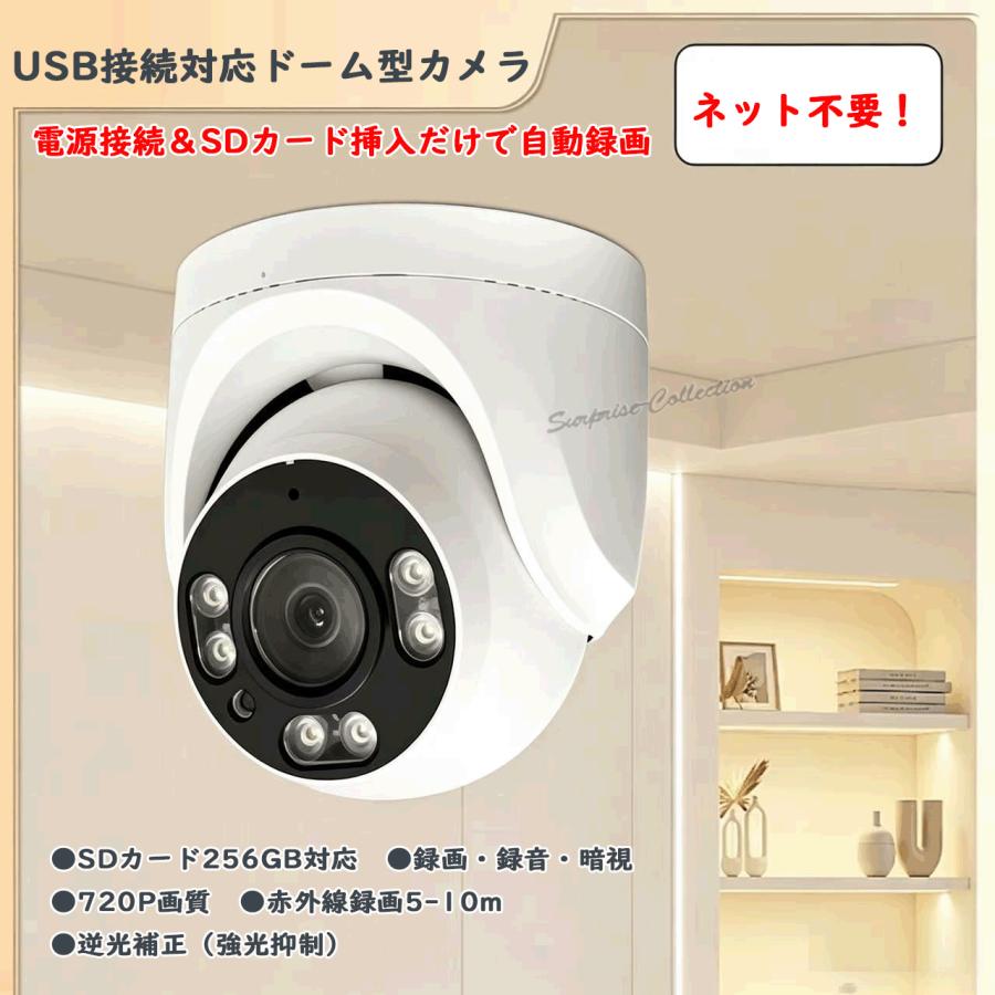 防犯カメラ 監視カメラ SDカード録画 録音 赤外線 暗視 256GB対応 夜間