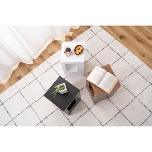 東谷 / セル サイドテーブル (ブラック) (W28×D28×H48) (送料無料