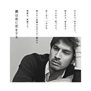 CD/平井堅/僕は君に恋をする (通常盤)｜surprise-flower