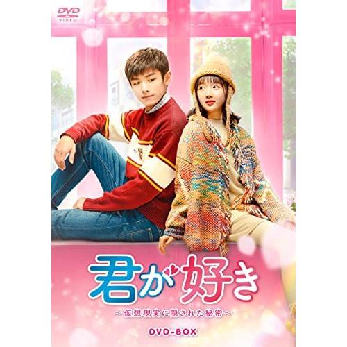 DVD/海外TVドラマ/君が好き〜仮想現実に隠された秘密〜