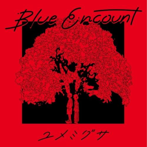 CD/BLUE ENCOUNT/ユメミグサ (CD+DVD) (初回生産限定盤)｜surprise-flower