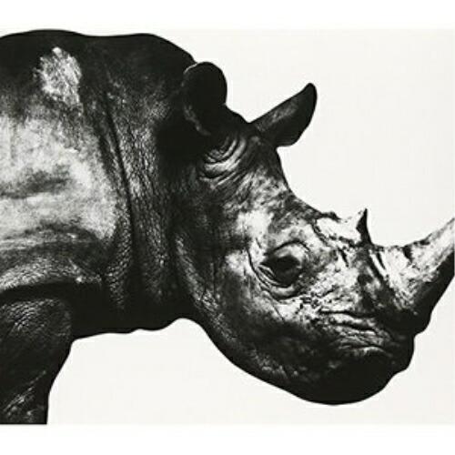 トイズファクトリー CD/Mr.Children/Mr.Children 1992-1995