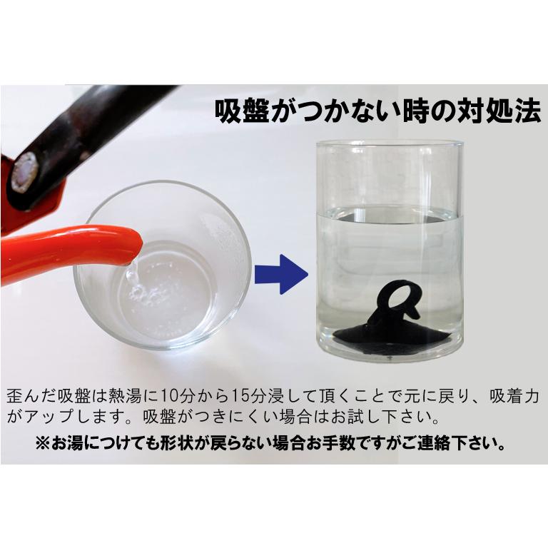 Aviles 「リアのみ」 トヨタ ノア ヴォクシー エスクァイア 80系 Aviles 「リアのみ」 トヨタ ノア ヴォクシー エスクァイア 80系