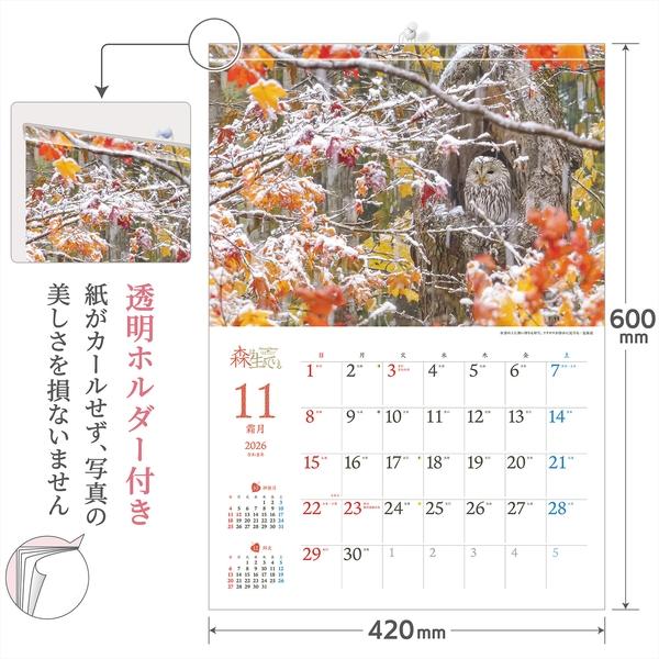 取寄商品】 2026年カレンダー/森は生きている [9/1発売] : サプライズ