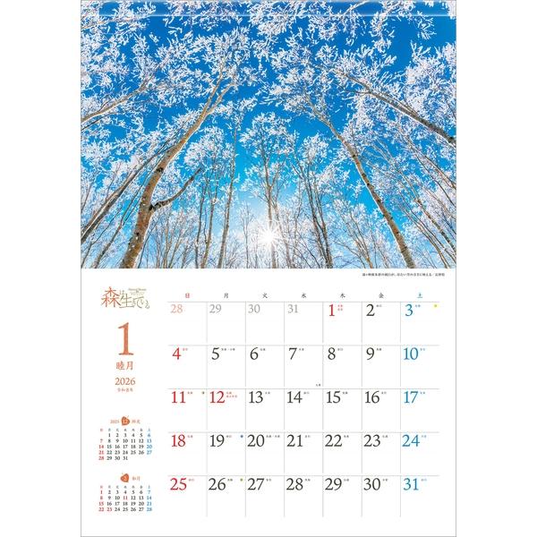 取寄商品】 2026年カレンダー/森は生きている [9/1発売] : サプライズ