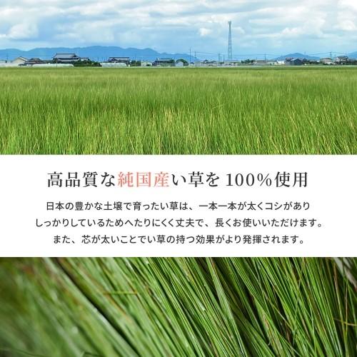 国産い草カーペット　清涼　本間4.5畳　ベージュ　約286×286cm 【北海道・沖縄・離島 送料別】_2