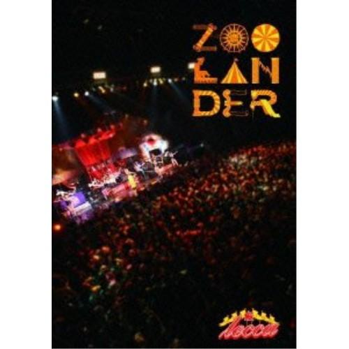 税込 DVD lecca 激安価格と即納で通信販売 LIVE ZOOLANDER 2013