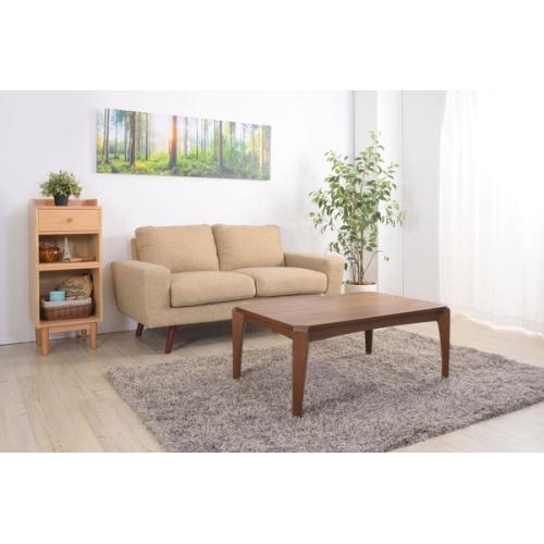 東谷 / コタツテーブル (ブラウン) (W90×D60×H38) (送料無料[北海道