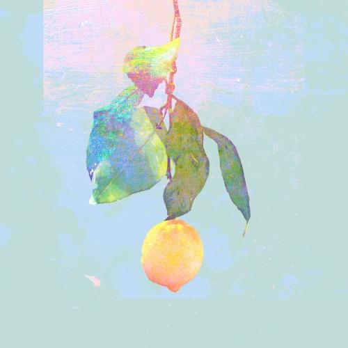 CD/米津玄師/Lemon (通常盤)（Yahoo!・サプライズweb）