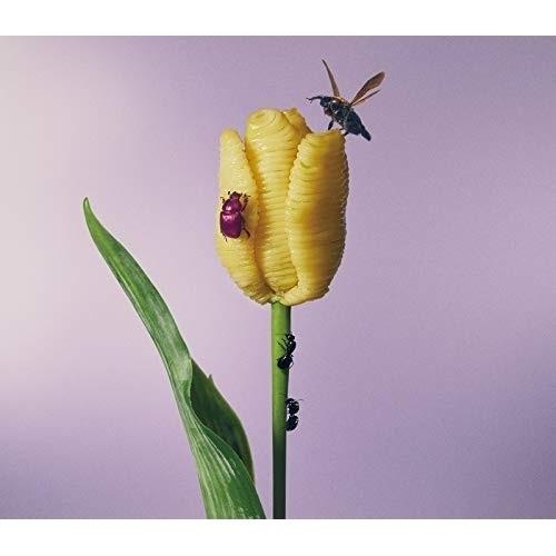 CD/あいみょん/おいしいパスタがあると聞いて (通常盤)（Yahoo!・サプライズweb）