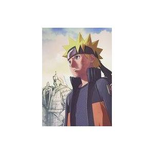 中古アニメDVD NARUTO -ナルト- 疾風伝 ナルトとサスケの章 1[初回版]